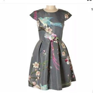 Ted Baker Zaldana Cocktail Dress